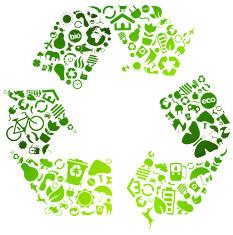 Recycling Paper, Plastic, Metal + Organics