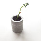 Miniature Planter