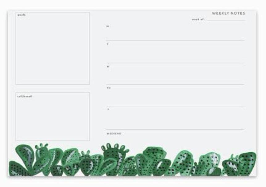 Weekly Calendar Planner, Cactus Design